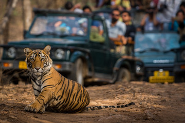 WILDLIFE TOUR PACKAGES